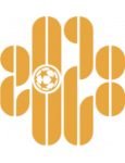 Shenzhen 2028 FC